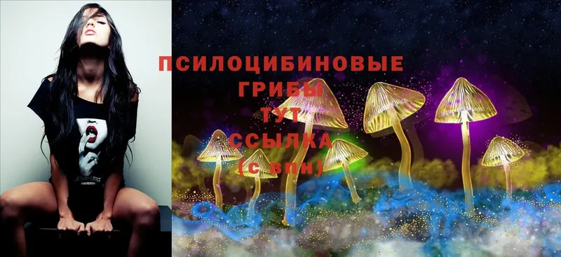 Галлюциногенные грибы Magic Shrooms  Мичуринск 